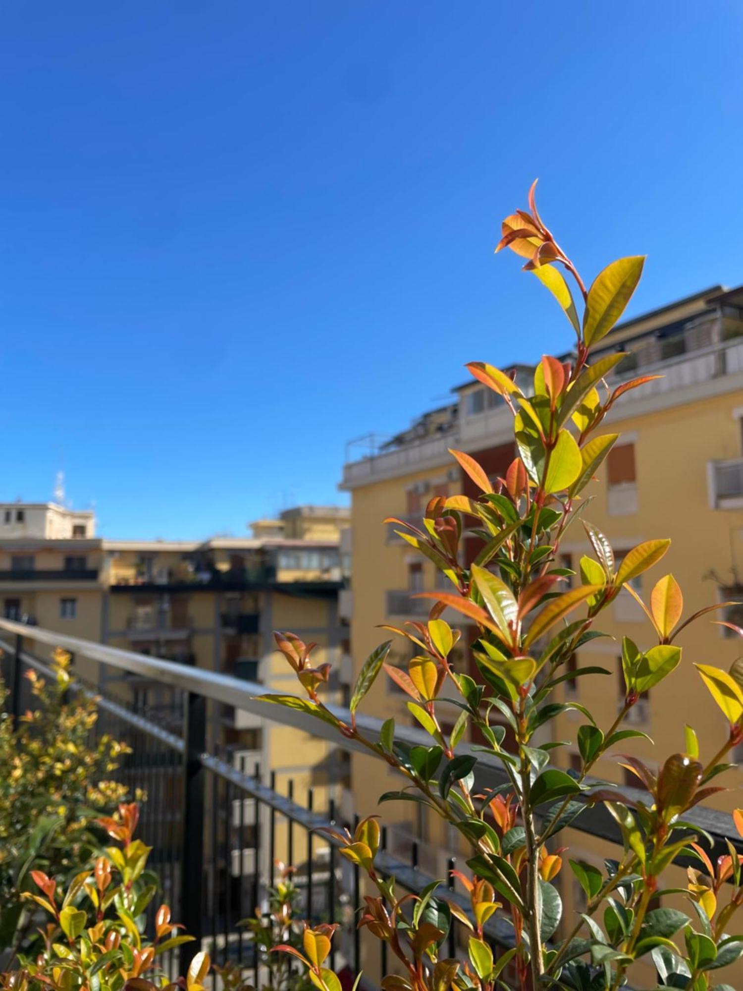 Terrazza L Emiro Casa Vacanze Apartment Палермо Екстериор снимка